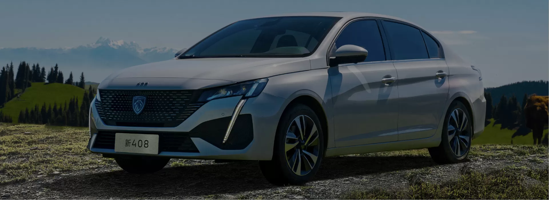 Экспортер подержанных автомобилей Peugeot напрямую с завода